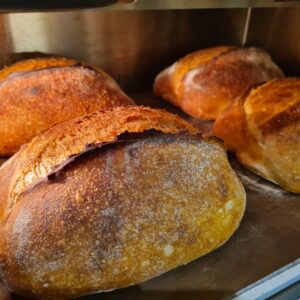 Sourdough Loaf White