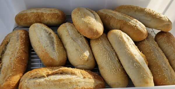 Hoagie Roll